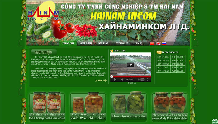 Thiết kế web Công ty TNHH Thương mại và Công nghiệp Hải Nam