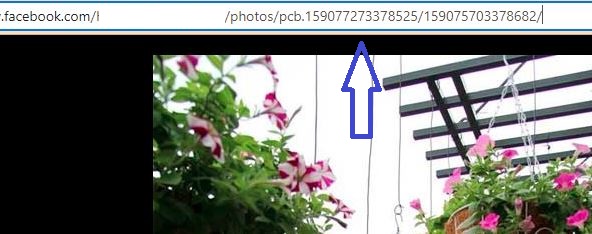 tìm ID bài viết trên Fanpage