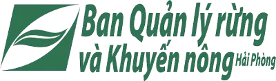 Ban Quản Lý Rừng Và Khuyến Nông