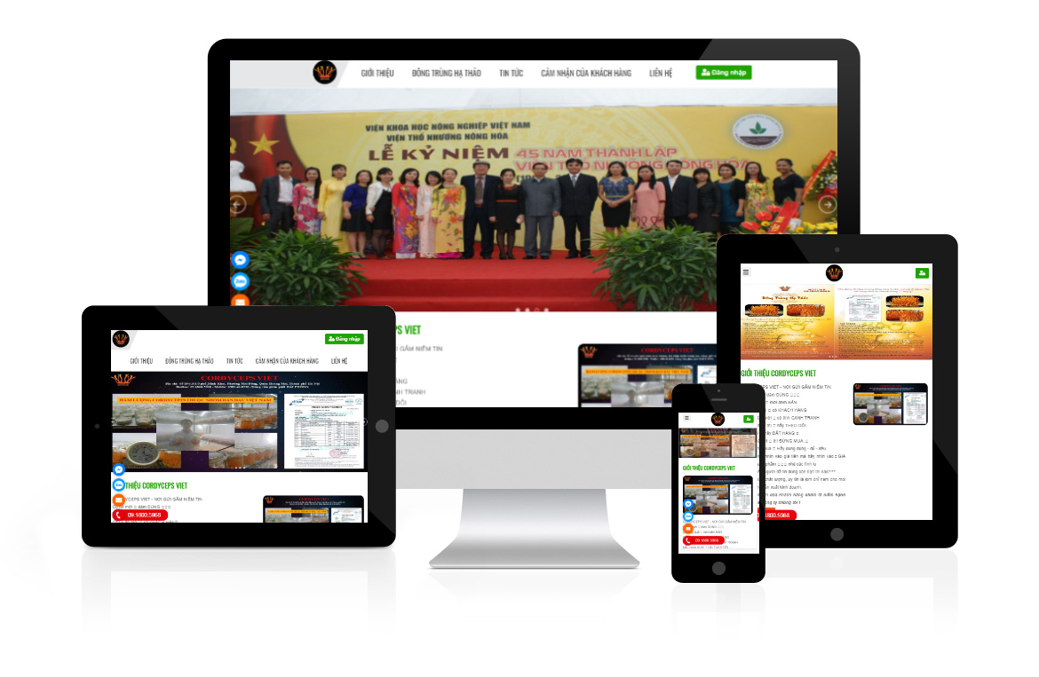 Thiết kế web Công ty Cordyceps Việt